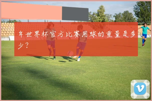年世界杯官方比赛用球的重量是多少？