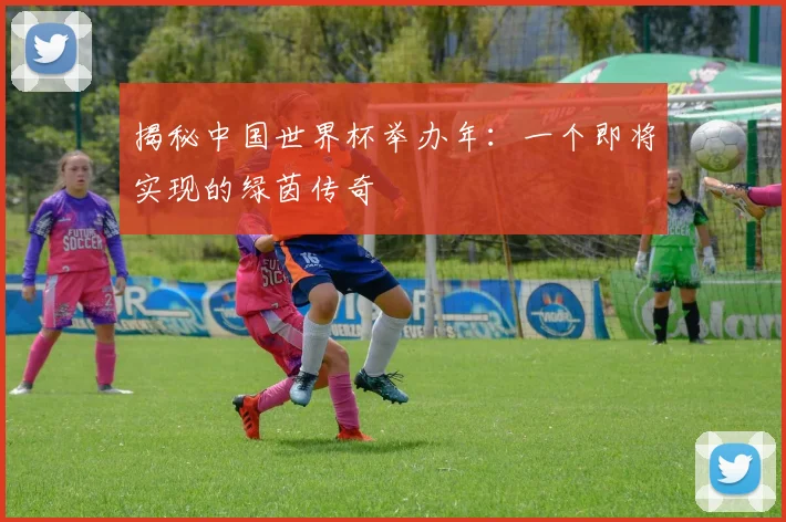 揭秘中国世界杯举办年：一个即将实现的绿茵传奇