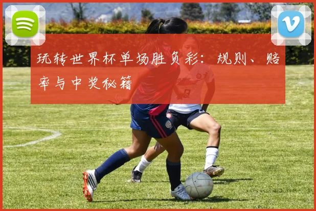 玩转世界杯单场胜负彩:规则、赔率与中奖秘籍
