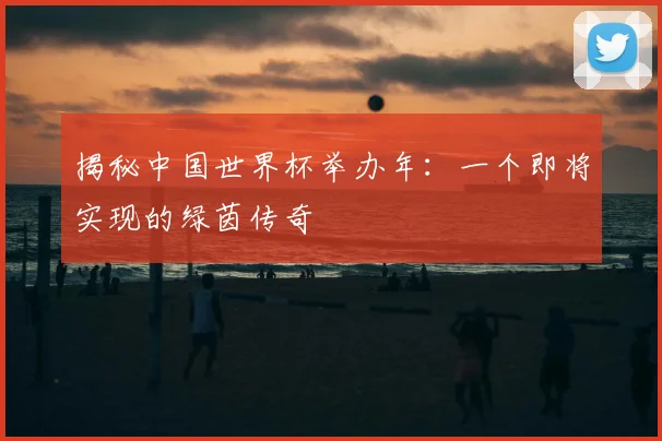 揭秘中国世界杯举办年：一个即将实现的绿茵传奇