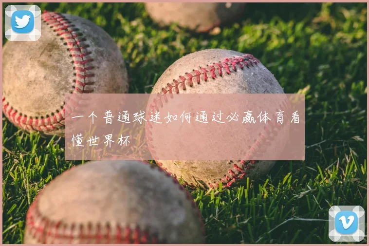 一个普通球迷如何通过必赢体育看懂世界杯