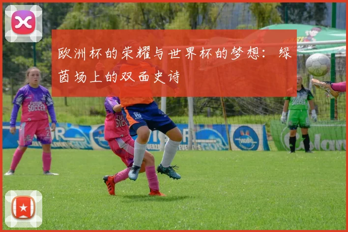 欧洲杯的荣耀与世界杯的梦想：绿茵场上的双面史诗