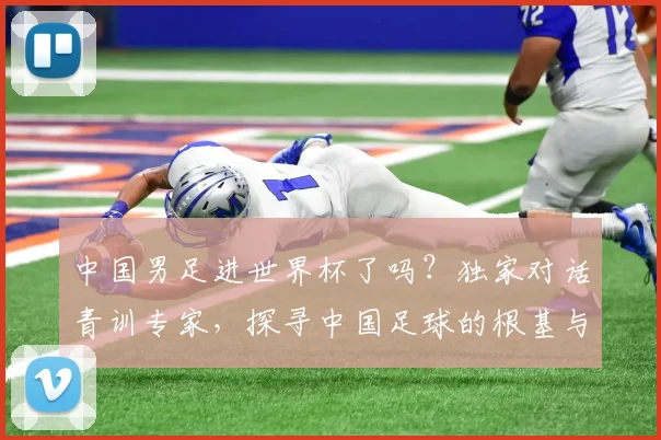中国男足进世界杯了吗?独家对话青训专家,探寻中国足球的根基与未来