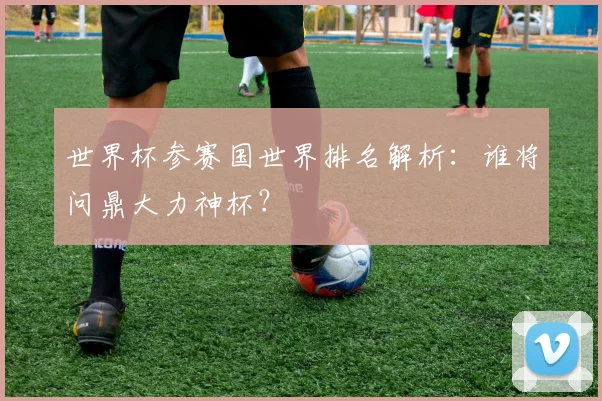 世界杯参赛国世界排名解析:谁将问鼎大力神杯?