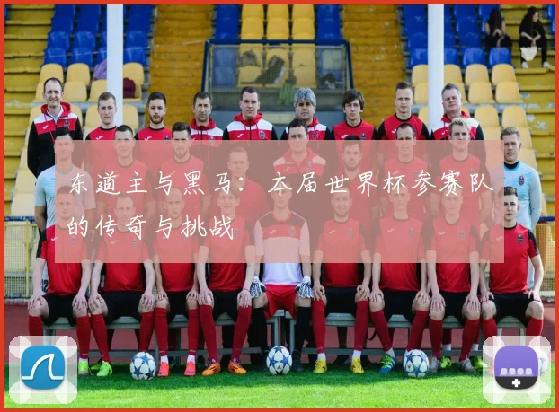 东道主与黑马：本届世界杯参赛队的传奇与挑战