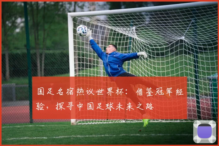 国足名宿热议世界杯：借鉴冠军经验，探寻中国足球未来之路
