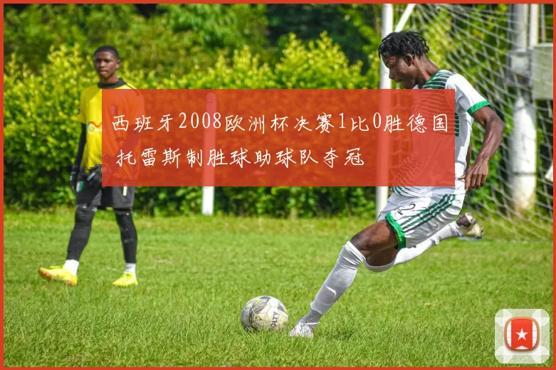 西班牙2008欧洲杯决赛1比0胜德国 托雷斯制胜球助球队夺冠