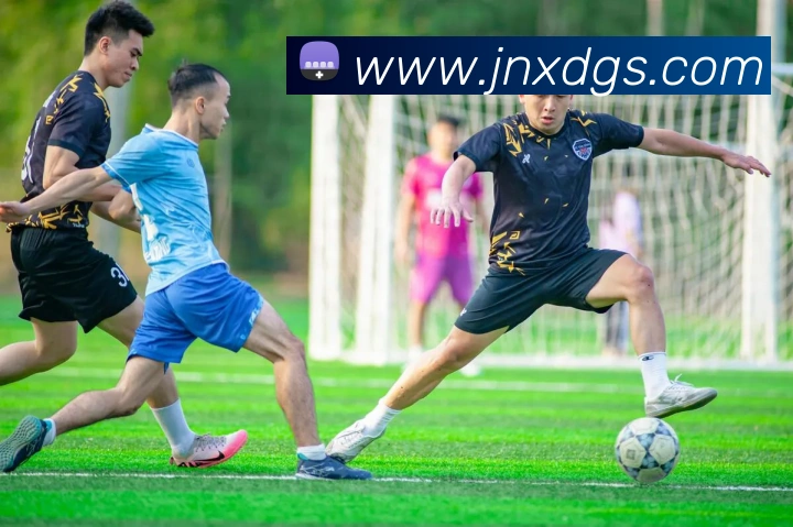 开云手机在线登录官网全站App